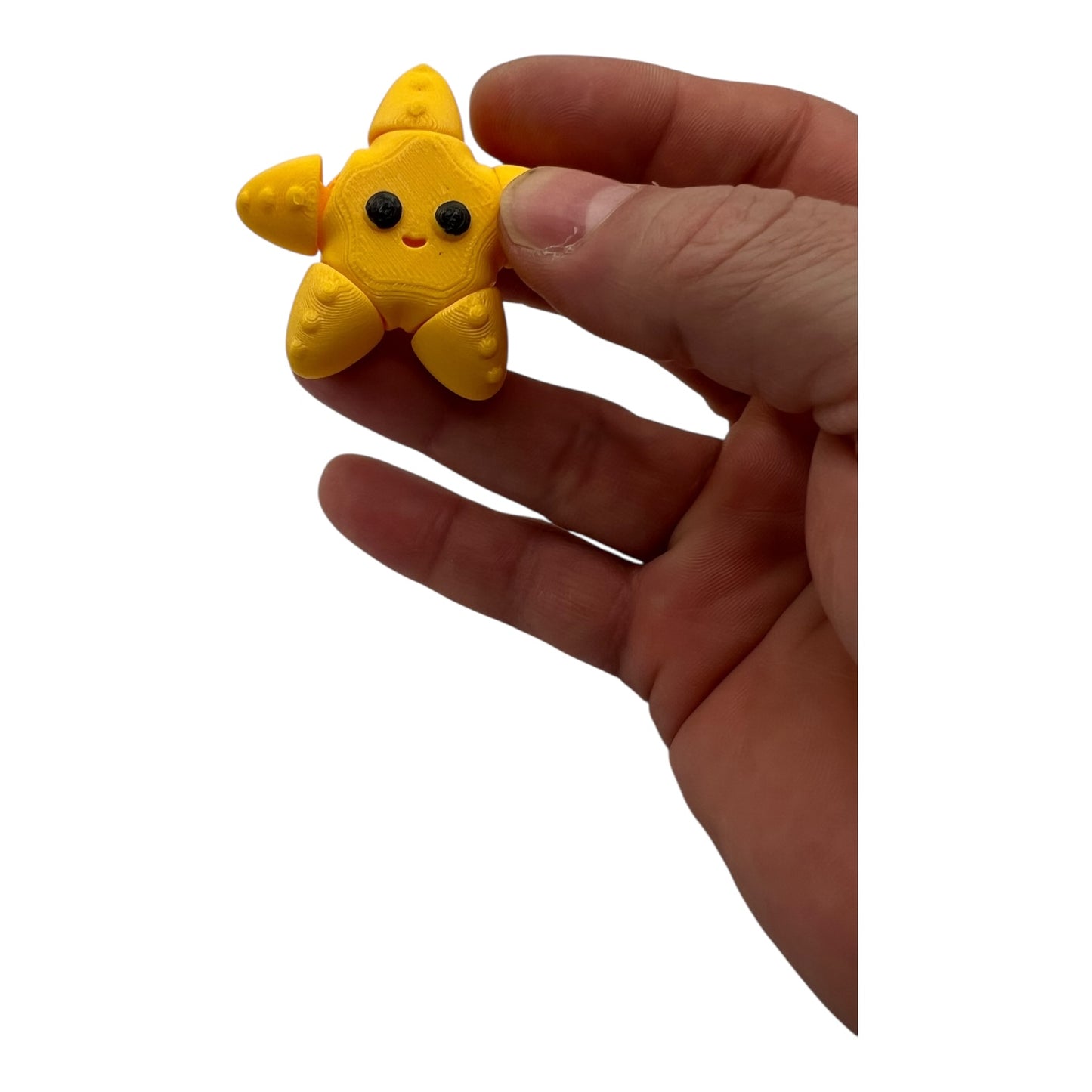 Mini baby starfish