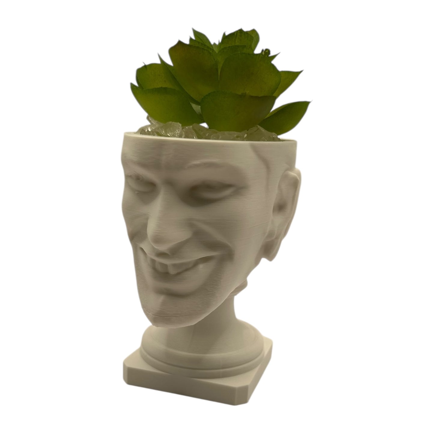 Aphex Twin "Windowlicker" Fake Plant Planter – 4"