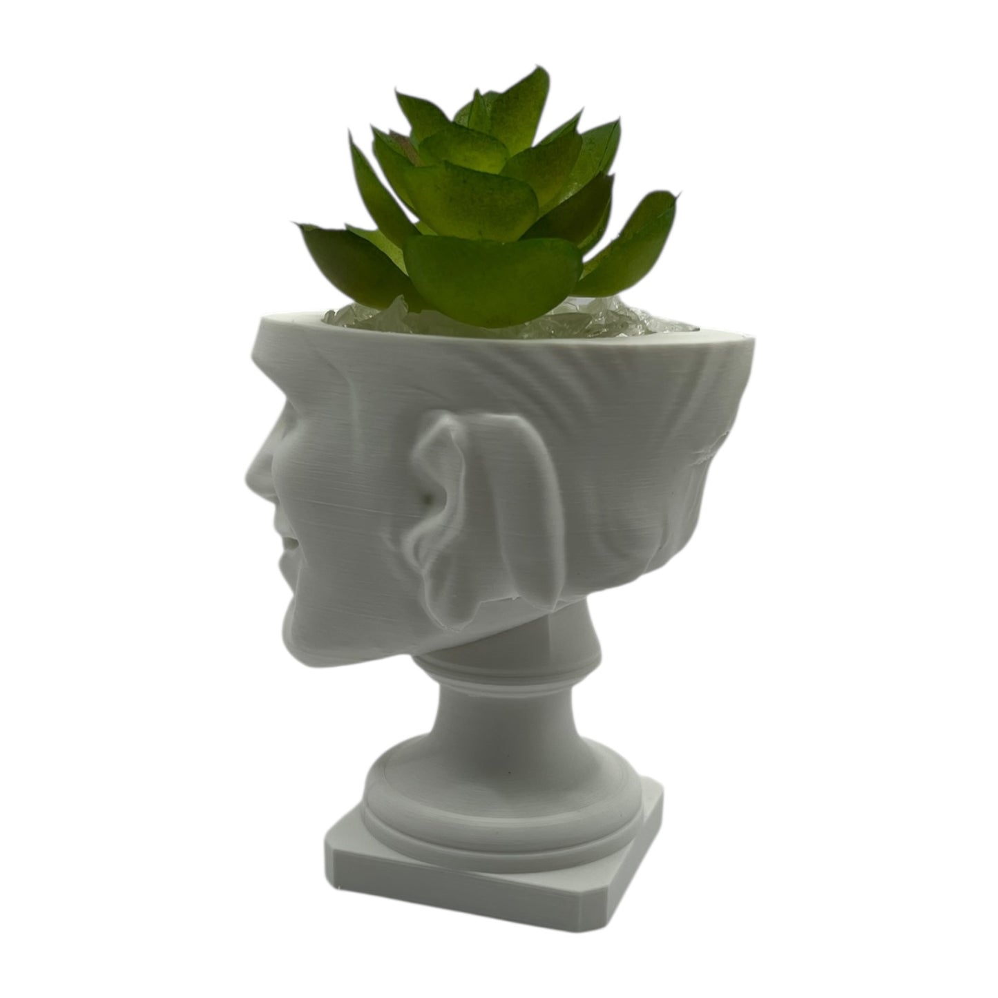 Aphex Twin "Windowlicker" Fake Plant Planter – 4"