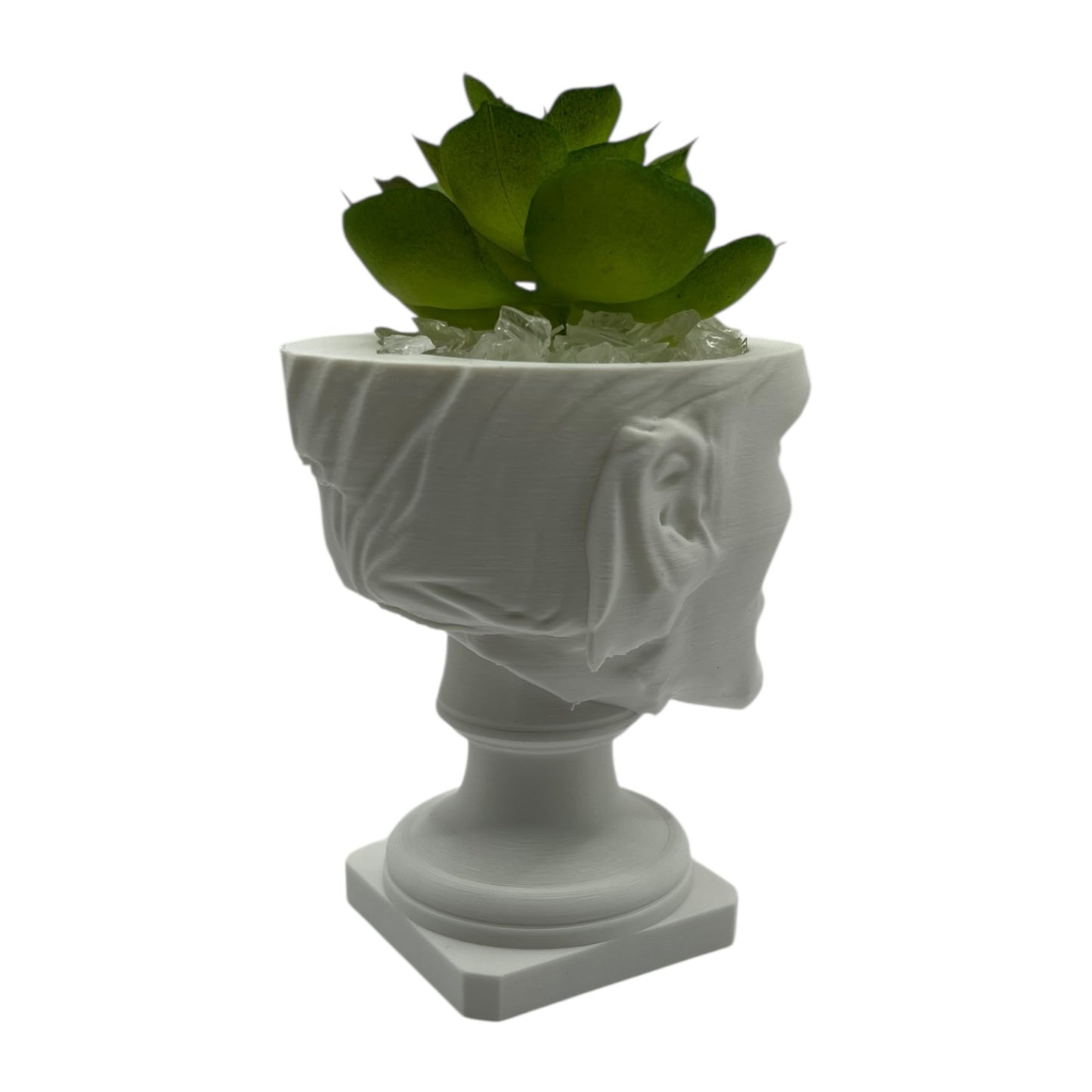 Aphex Twin "Windowlicker" Fake Plant Planter – 4"