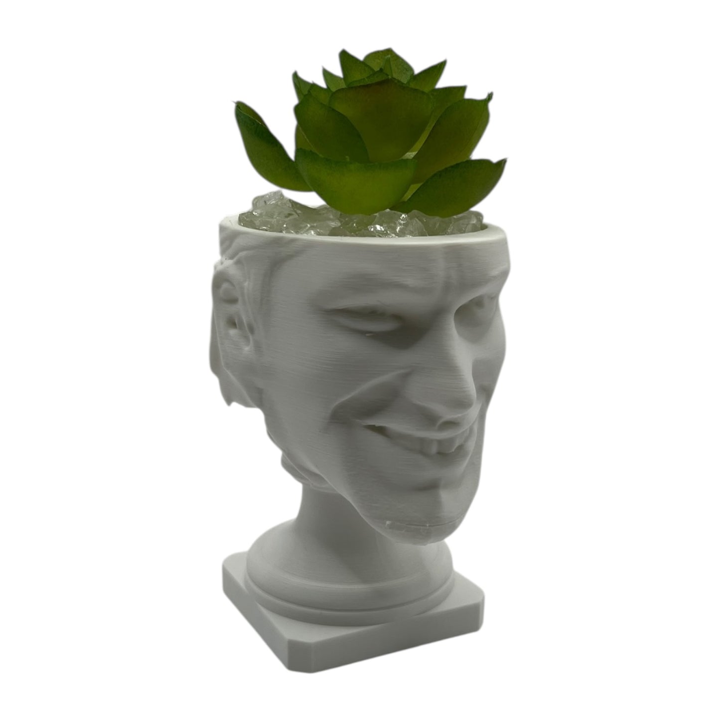 Aphex Twin "Windowlicker" Fake Plant Planter – 4"