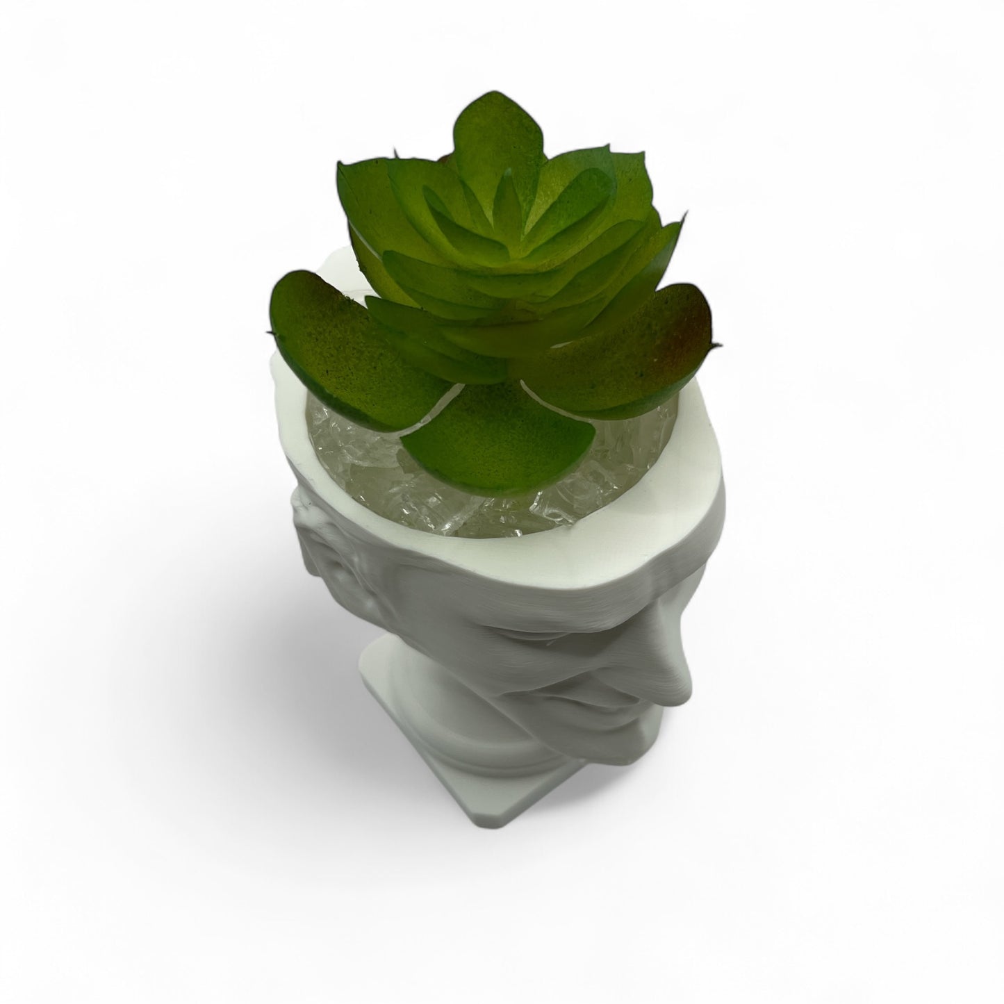 Aphex Twin "Windowlicker" Fake Plant Planter – 4"
