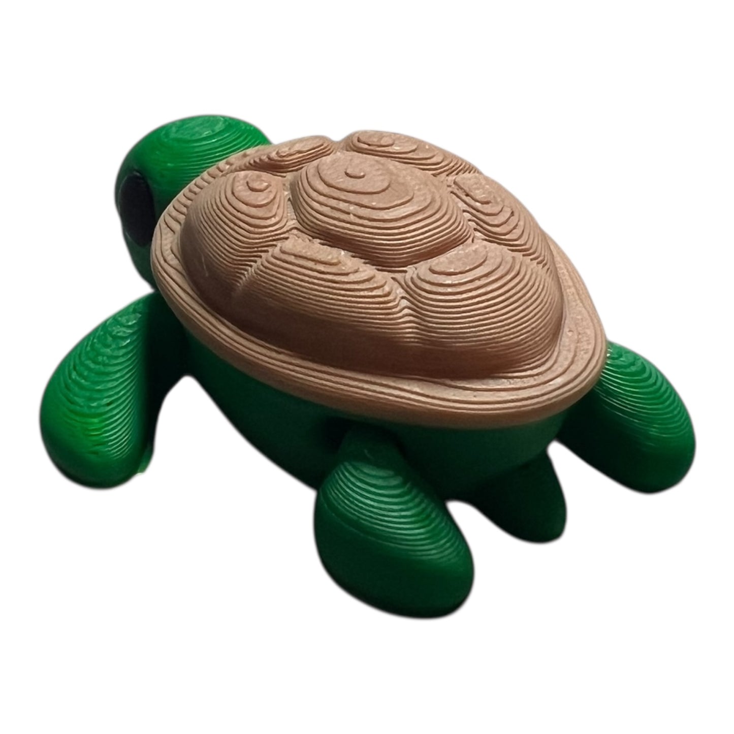 Mini Baby Turtle