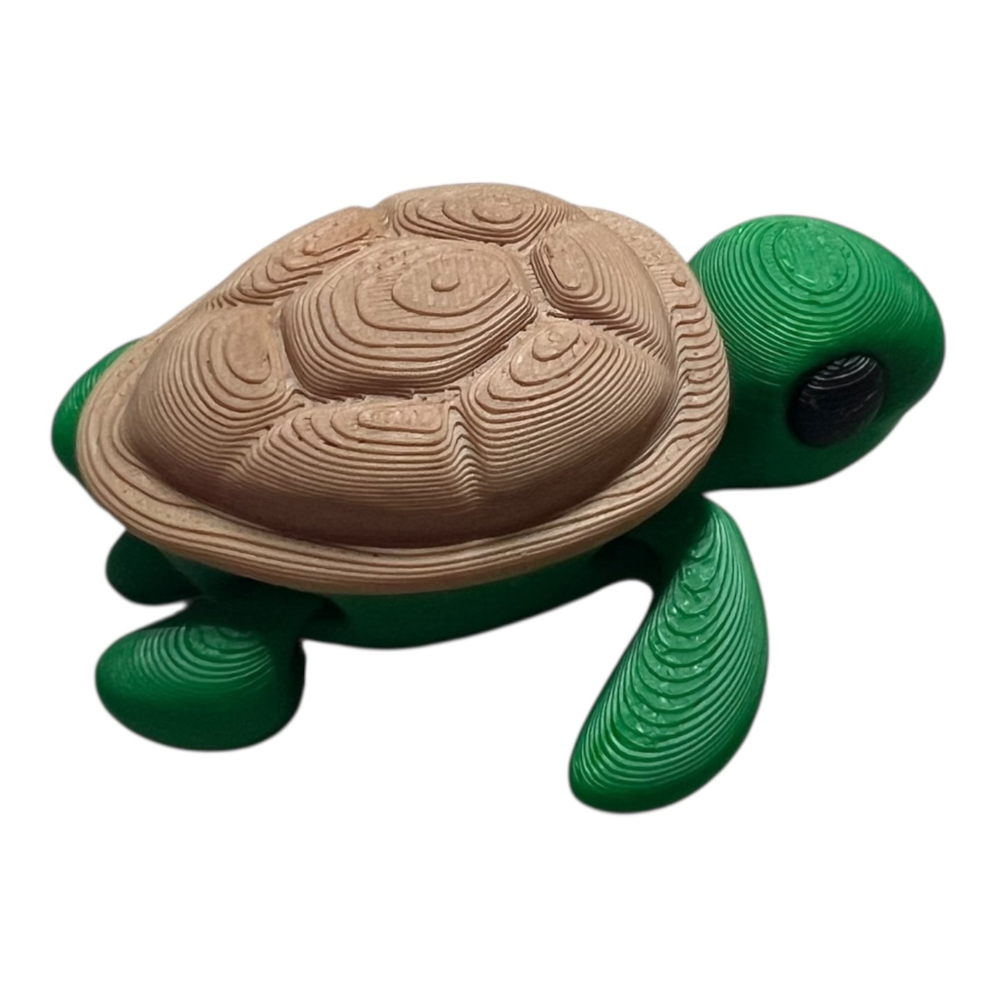 Mini Baby Turtle