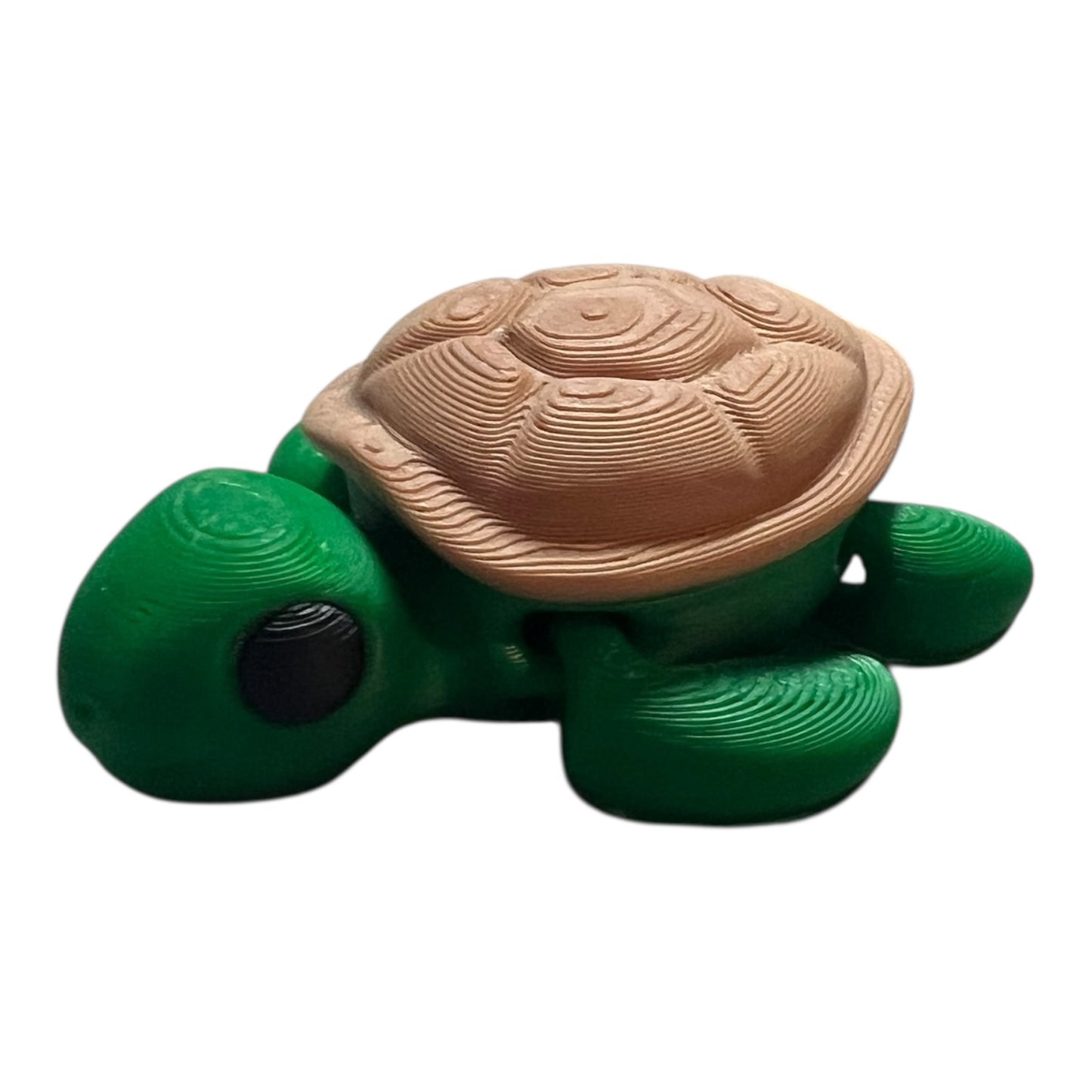 Mini Baby Turtle