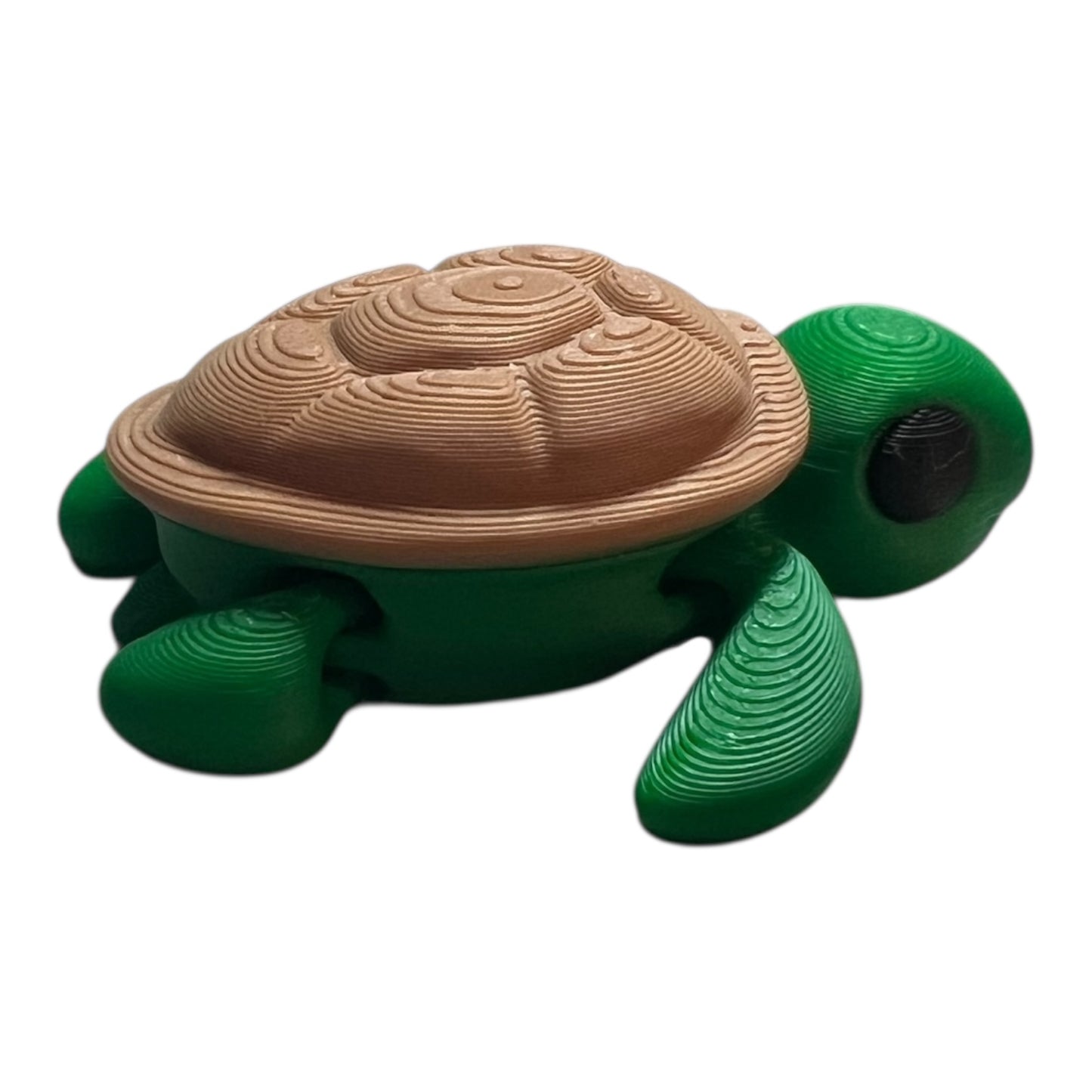 Mini Baby Turtle