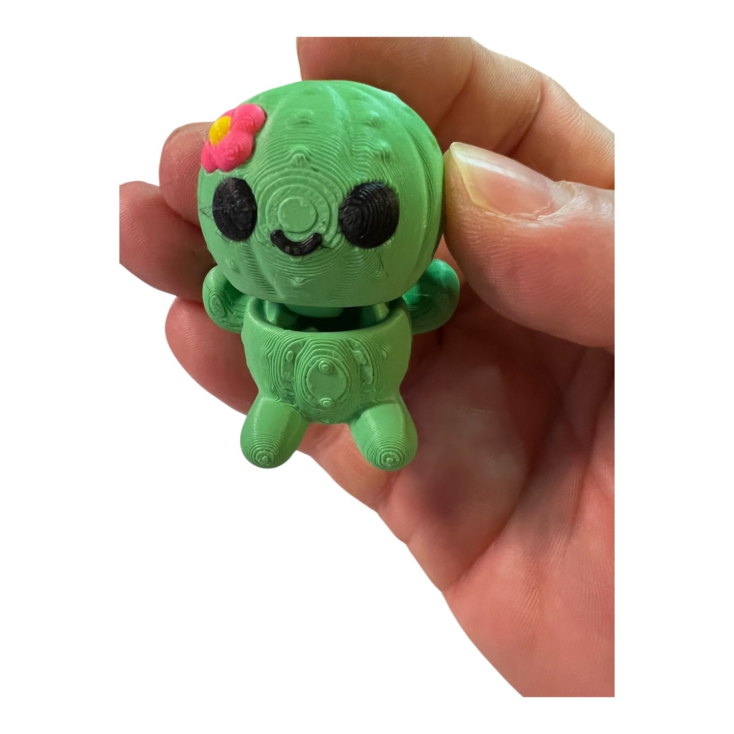 Mini tiny cactus