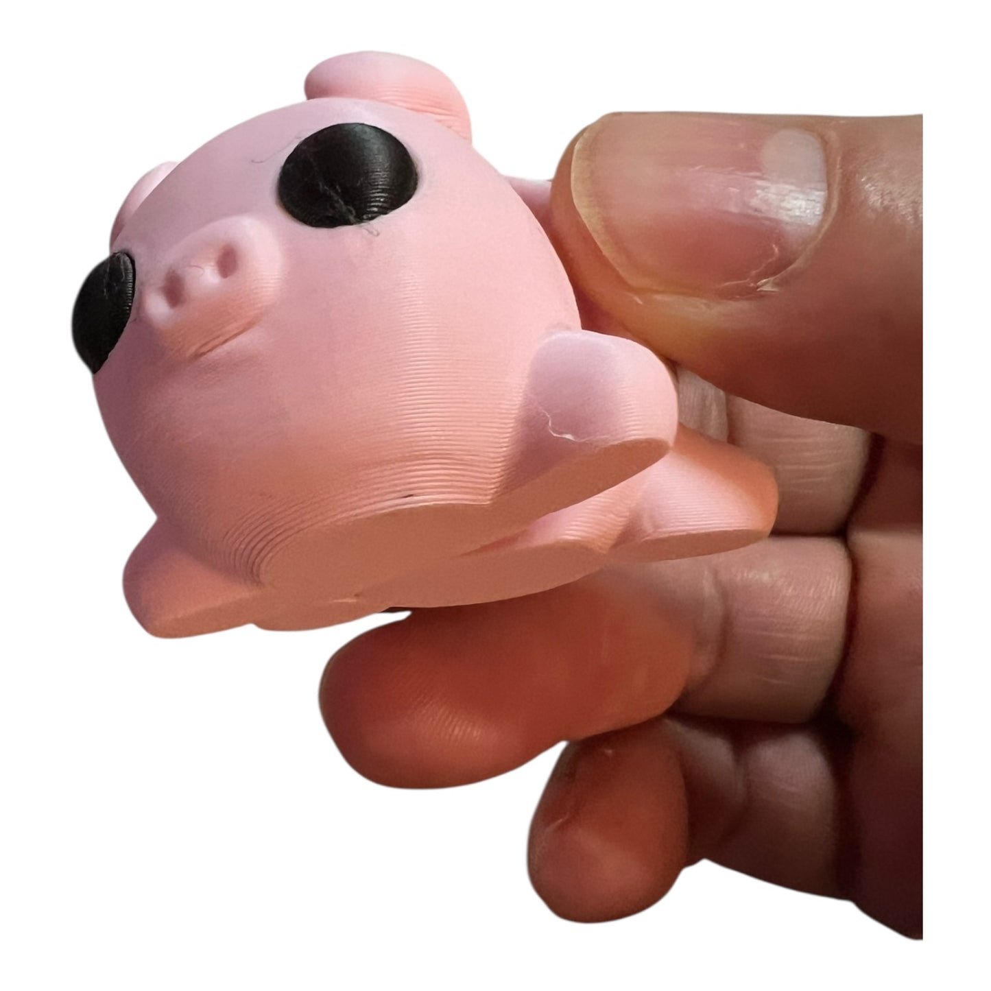 Mini Tiny Pig