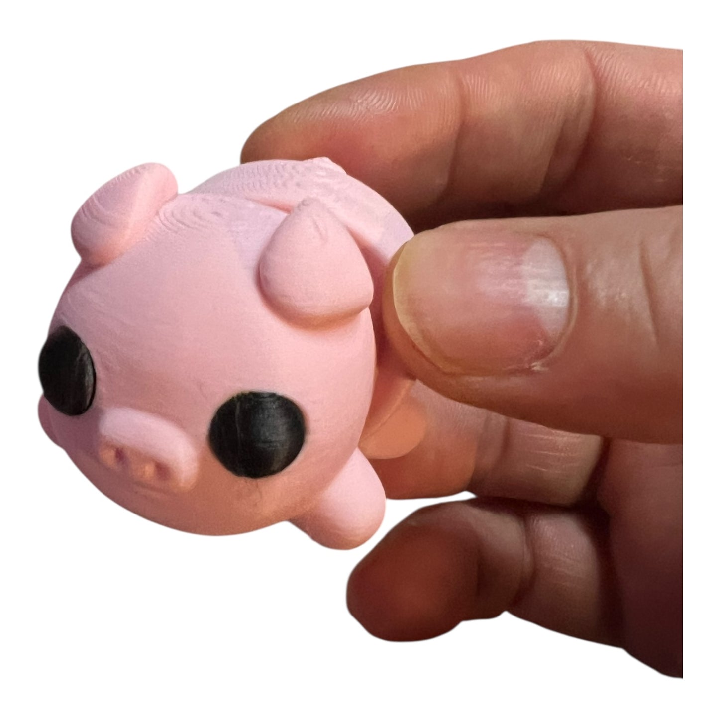 Mini Tiny Pig