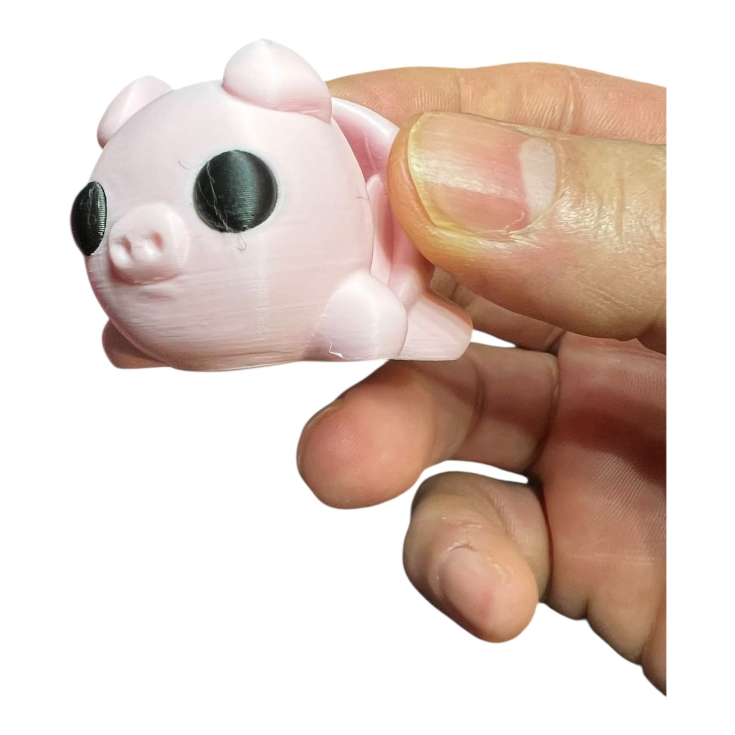 Mini Tiny Pig