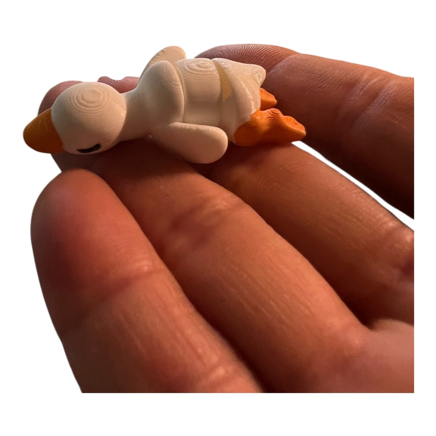 Mini tiny duck