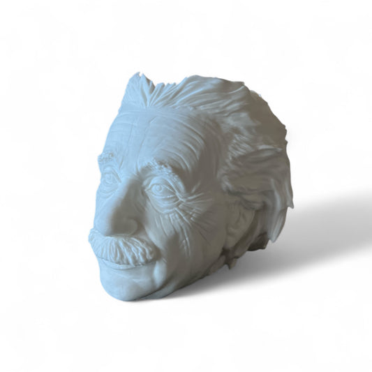 Einstein Pen Holder – Smart Desk Organizer in 5 Bold Colors