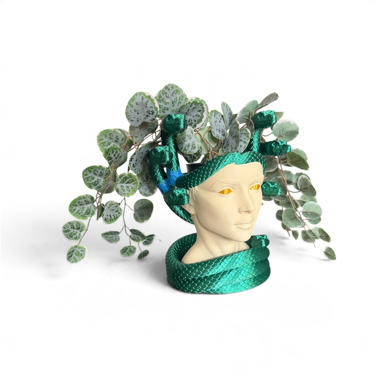 Medusa planter
