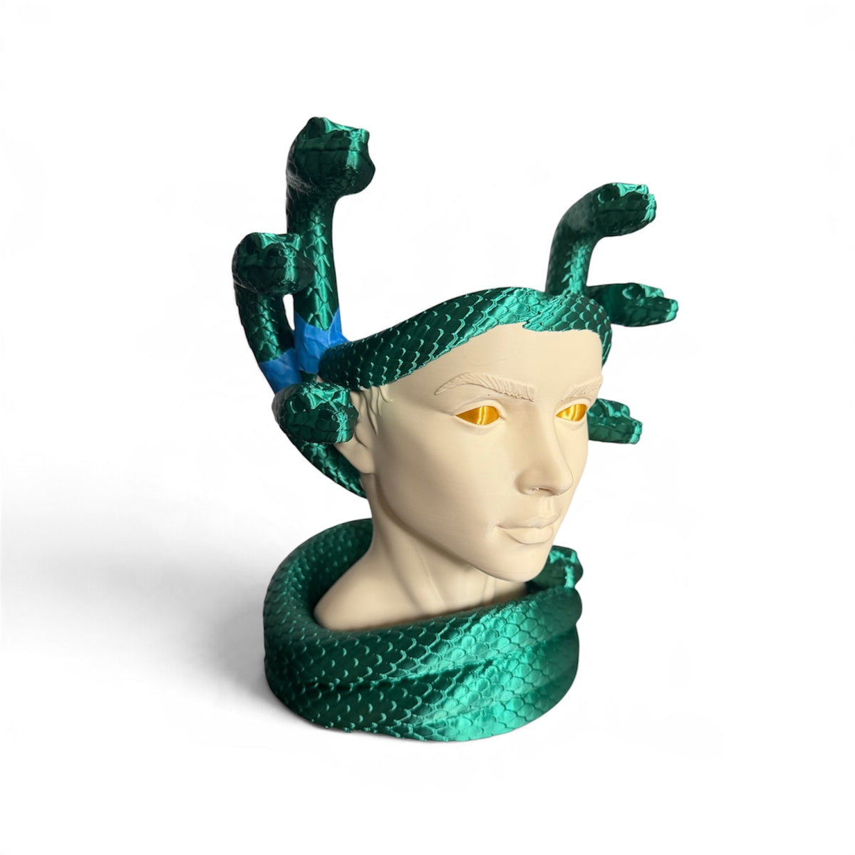 Medusa planter