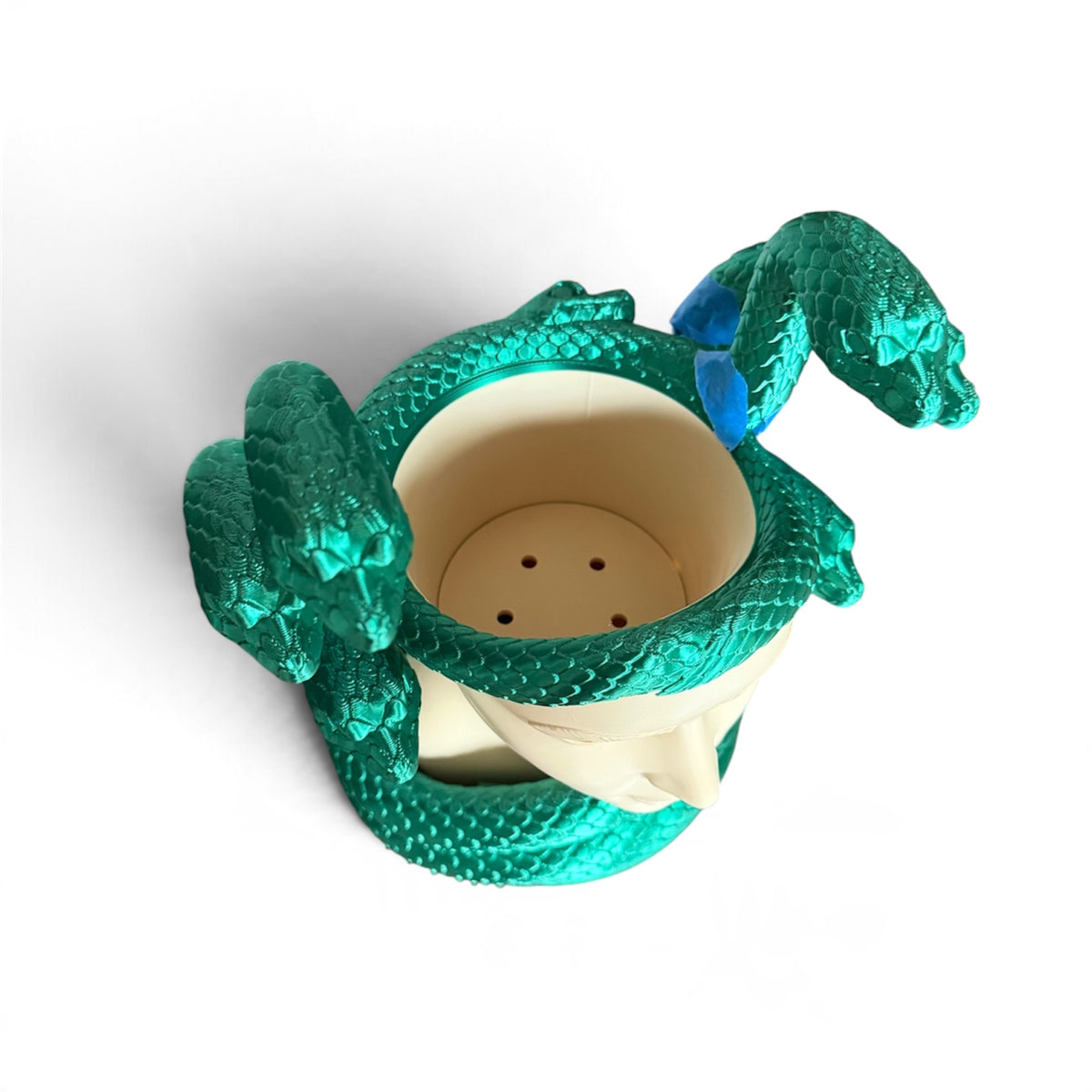 Medusa planter