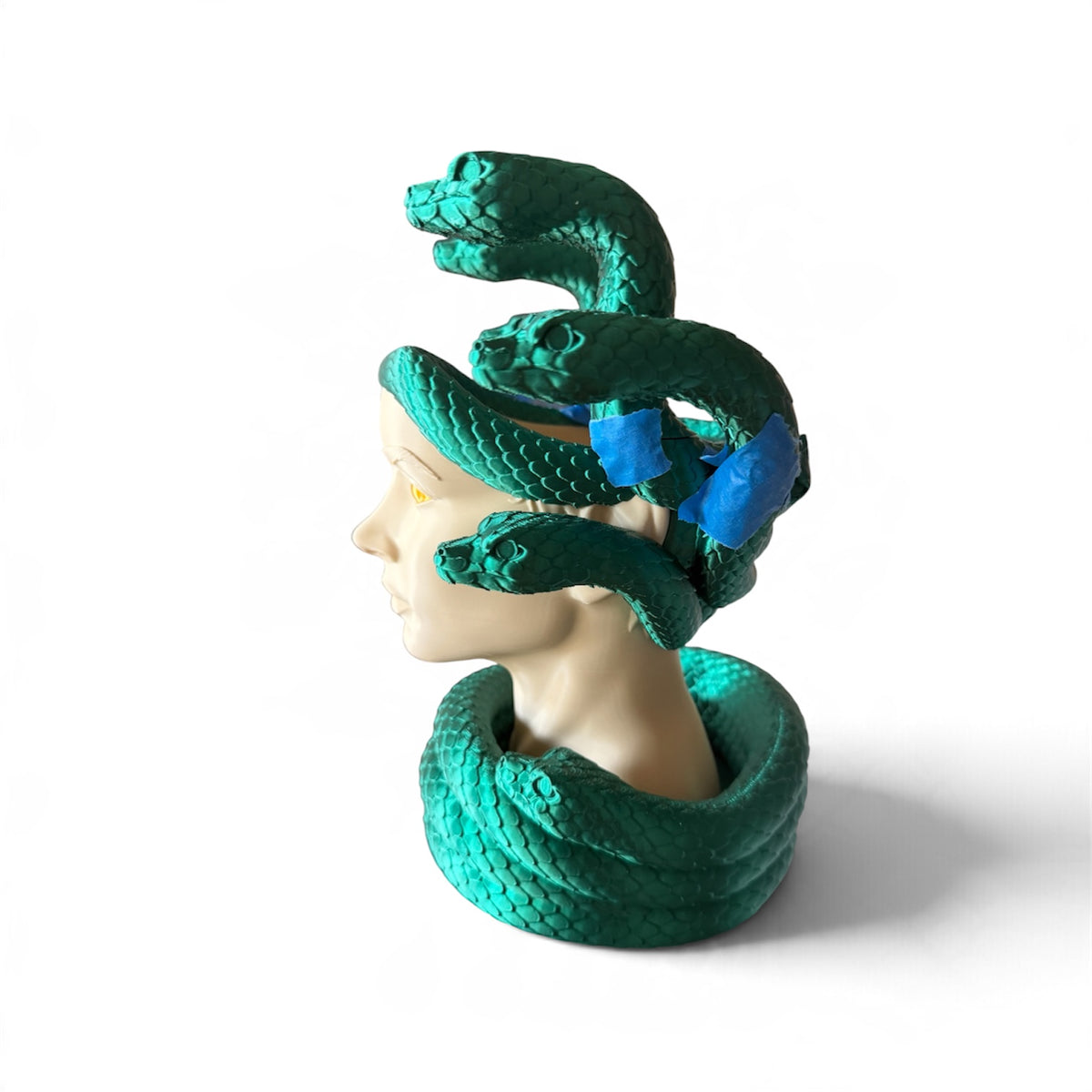Medusa planter
