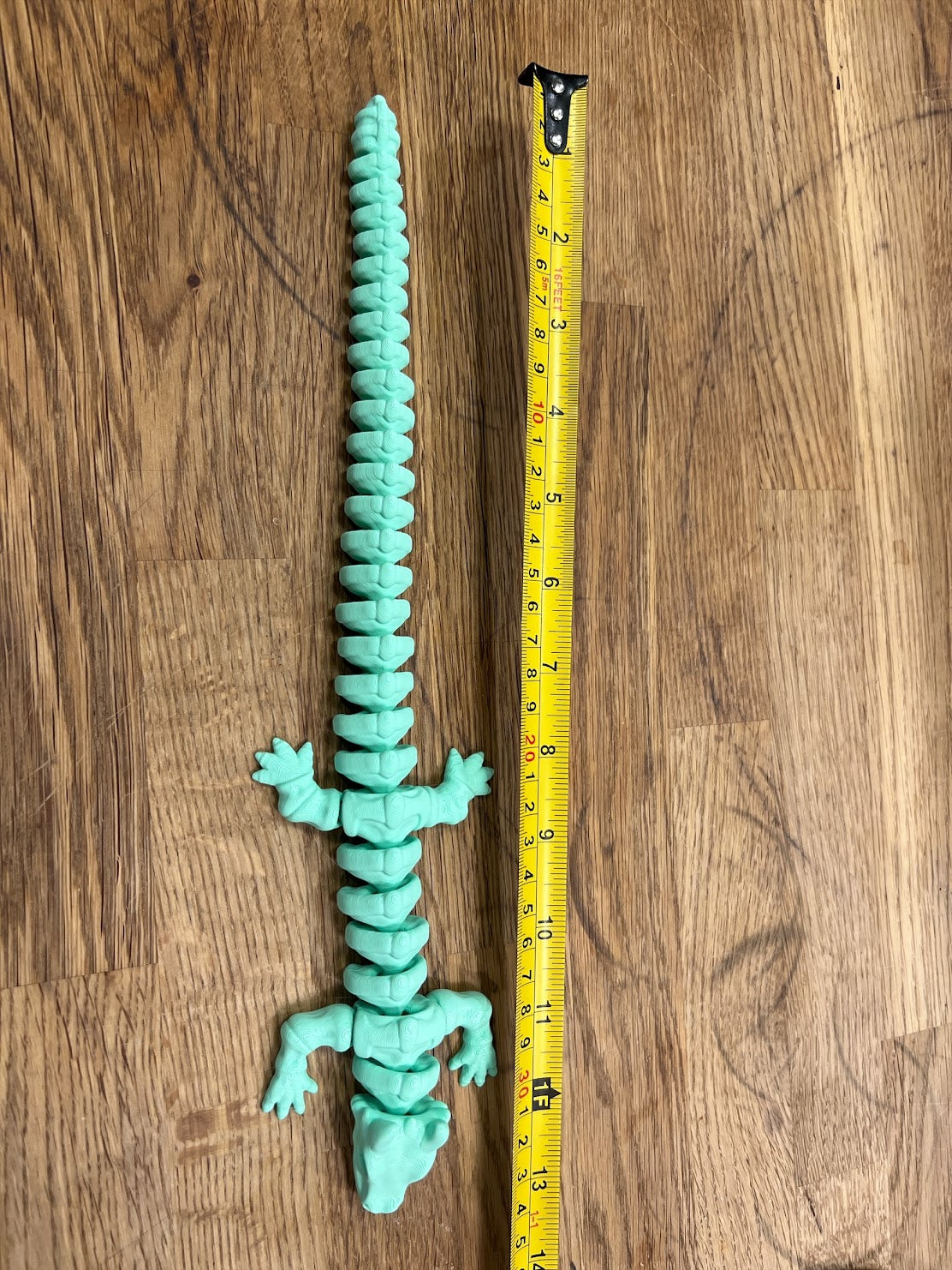 Skeleton Dragons 13inch