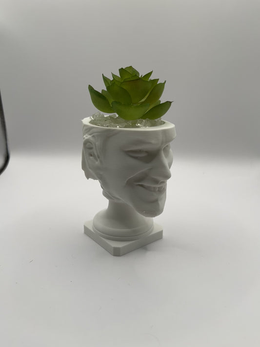 Aphex Twin "Windowlicker" Fake Plant Planter – 4"
